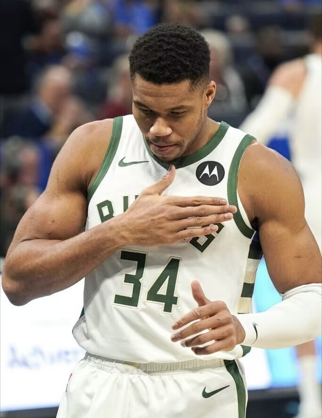 关于雄鹿取得胜利，击败人，字母哥贡献全面表现的信息