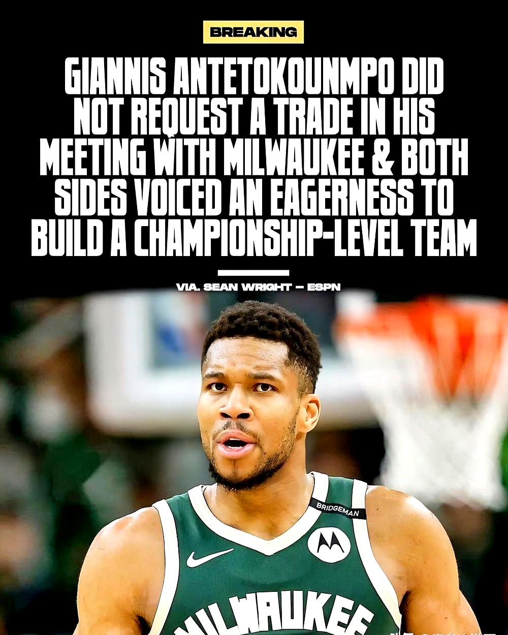 关于雄鹿取得胜利，击败人，字母哥贡献全面表现的信息