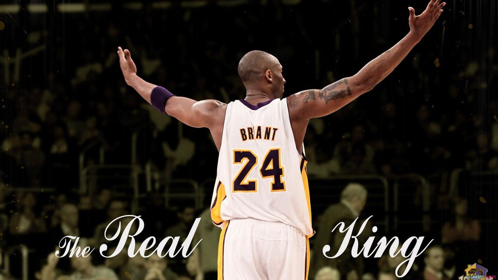 守护之盾，戈贝尔抢七夜的无声咆哮